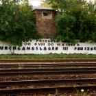zdjęcie nr 21