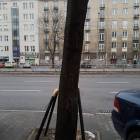 Fotka nr 1 z 5