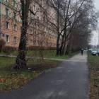 zdjęcie nr 8