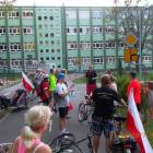 zdjęcie nr 33
