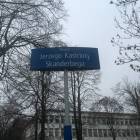 zdjęcie nr 12