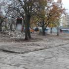 zdjęcie nr 13