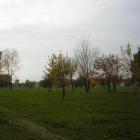 Fotka nr 4 z 16