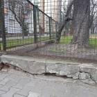 zdjęcie nr 17