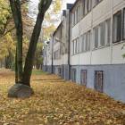 zdjęcie nr 20