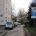 Fotka nr 5 z 8