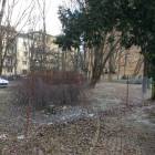 zdjęcie nr 8