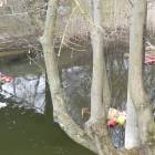 zdjęcie nr 55