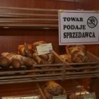 Fotka nr 0 z 14