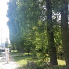 zdjęcie nr 55