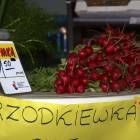 Fotka nr 0 z 2