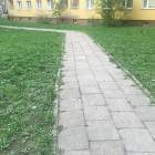 zdjęcie nr 9