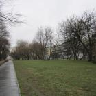 zdjęcie nr 7
