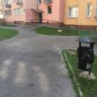Fotka nr 2 z 12