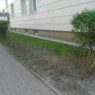 zdjęcie nr 8