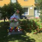 zdjęcie nr 51