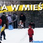 zdjęcie nr 11