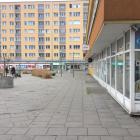 zdjęcie nr 8