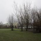 Fotka nr 3 z 11