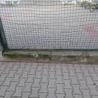 Fotka nr 3 z 12