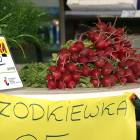 Fotka nr 1 z 2