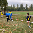 zdjęcie nr 13