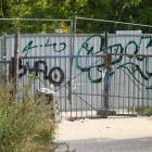 zdjęcie nr 16