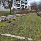 zdjęcie nr 8