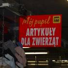 zdjęcie nr 12