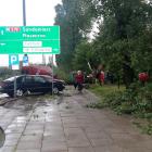 zdjęcie nr 29