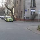 Fotka nr 2 z 11