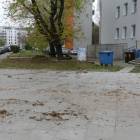 Fotka nr 5 z 6