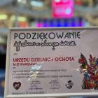 Fotka nr 1 z 264