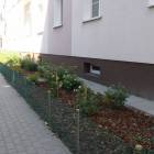zdjęcie nr 13