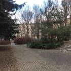 zdjęcie nr 26