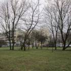 zdjęcie nr 40