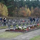zdjęcie nr 178