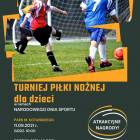 zdjęcie nr 11