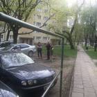 zdjęcie nr 7
