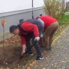 zdjęcie nr 10