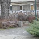 zdjęcie nr 24