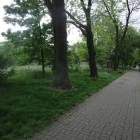 Fotka nr 4 z 6