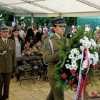 zdjęcie nr 225