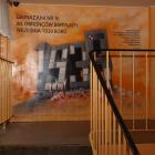 Fotka nr 2 z 47