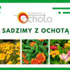 Fotka nr 0 z 1
