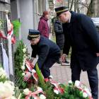 zdjęcie nr 131