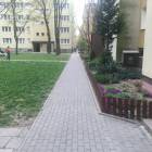 zdjęcie nr 23