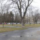 zdjęcie nr 11
