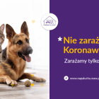 Fotka nr 1 z 3