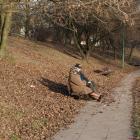 zdjęcie nr 8